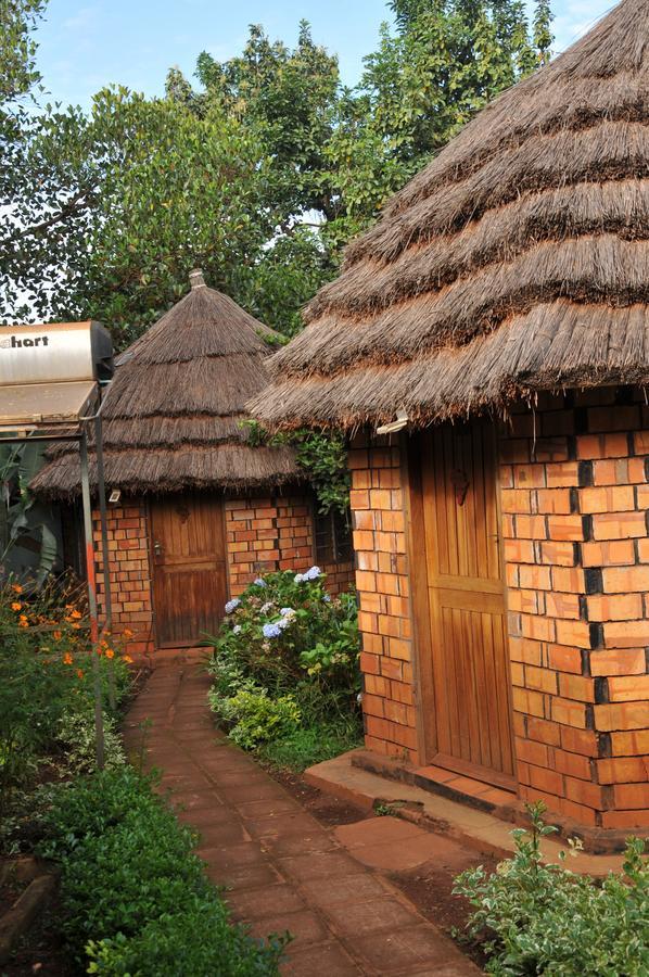 New Court View Hotel Masindi Esterno foto